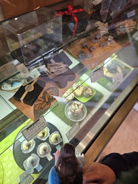 小松屋本店 - 横手（ケーキ）の写真