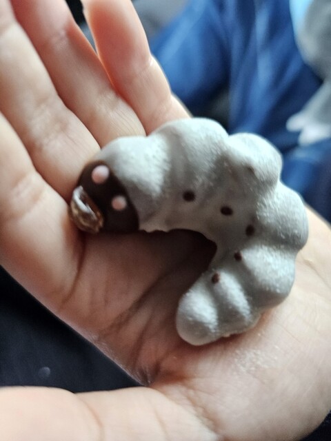 小松屋本店 - 横手（ケーキ）の写真