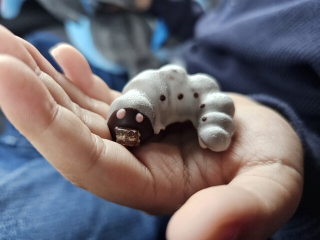 小松屋本店 - 横手（ケーキ）の写真