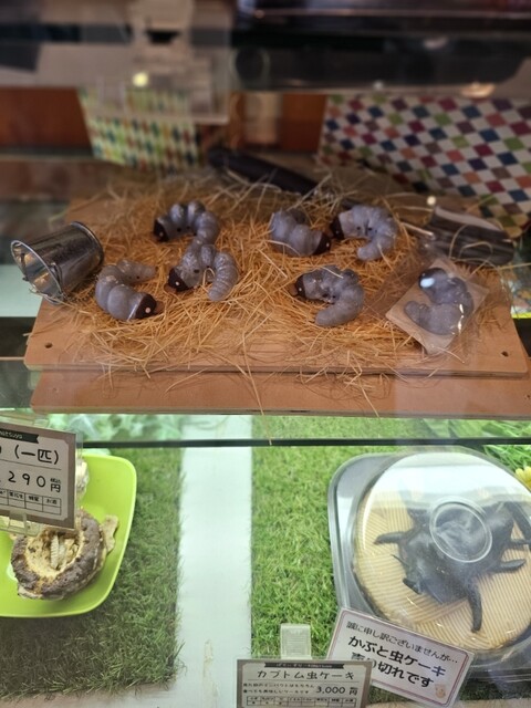 小松屋本店 - 横手（ケーキ）の写真