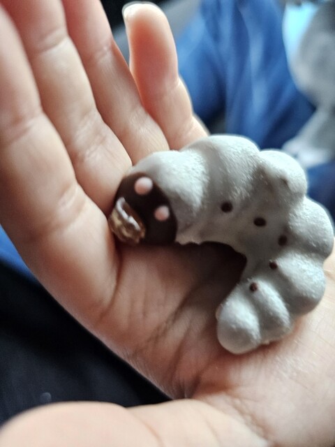 小松屋本店 - 横手（ケーキ）の写真