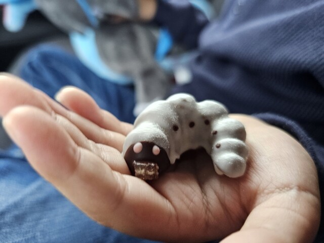 小松屋本店 - 横手（ケーキ）の写真