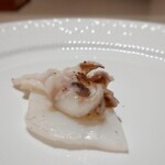 TATSUMI - シンイカ