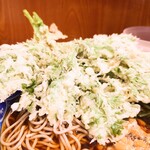 加賀 - 大きく羽を広げた"春菊天"。