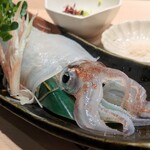 鮨 からす - 泳ぎイカ姿造り