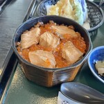 田園 - 特製はらこめしミニ膳