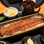 うなぎ四代目菊川 なんばセントラルイータリー店 - 