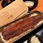 うなぎ四代目菊川 なんばセントラルイータリー店 - 