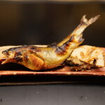 徳ㇵ本也 - 子持ち鮎