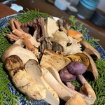 飛騨季節料理 肴 - 