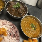 Curry Spice Gelateria KALPASI - 