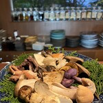 飛騨季節料理 肴 - 