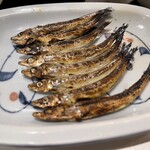 夜行列車 - きびなご一夜干し