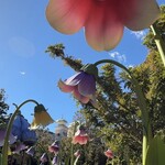 カスバ・フードコート - 