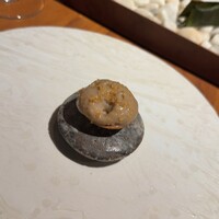 ル スプートニク - 