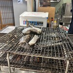 魚豪商コダマ - 