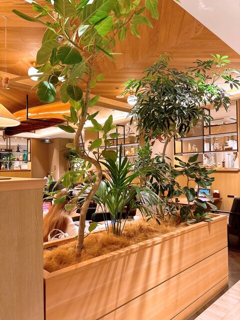 むさしの森珈琲 マロニエゲート銀座2店 - 銀座一丁目/カフェ | 食べログ