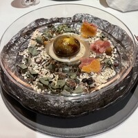 ニシデリア - 