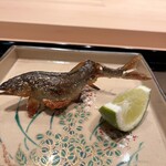 蛸薬師 ふるかわ - 