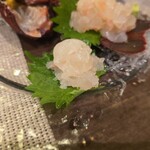 創彩和房ふじた - うんま〜