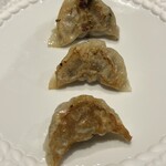 わさ - 高坂鶏、金華豚、スパイシーな餃子