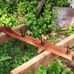 caffe gita - マスターさんが日曜大工されてました♪(笑)♡