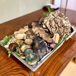 よし町 - わかば屋さん採集のきのこ様達