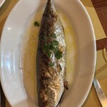 トラットリア フランコ - 