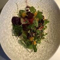 イタリアン オット - 