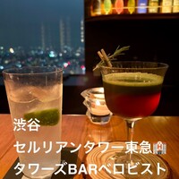 タワーズバー ベロビスト - 