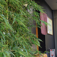 しら河 浄心本店 - 和の雰囲気醸し出す外観
