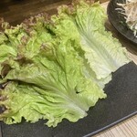 カルビ牧場 - チシャ