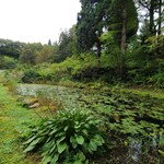 カフェ イエローハウス - 