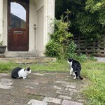 cafe restaurant NILS - 