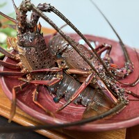 日本料理 TOBIUME - 