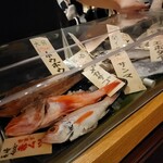 米と魚 さかなさま - 