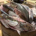 なきざかな 新宿店 - 