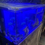 鉄板焼き 牛鳴 - 