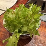 恵比寿焼肉　kintan - サラノバレタスのチョレギサラダ