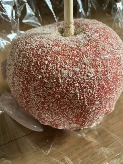 +Apple Yagotohon Ten photo 5