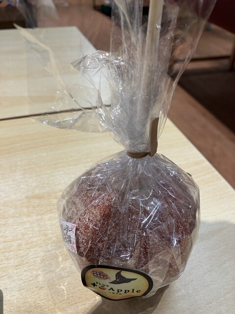 +Apple Yagotohon Ten photo 4