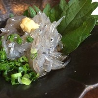 土佐料理 司 高知本店 - 