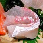 完全個室×海鮮和食 新鮮組 - 魚河岸直送のお造り4種盛り合わせのカンパチ