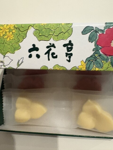 Rokkatei Goryokaku Ten