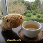 無料のお茶