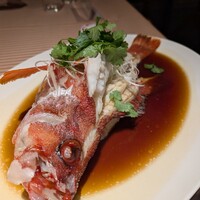 全聚徳 新宿店 - 