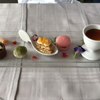 サンシャイン クルーズ・クルーズ - 