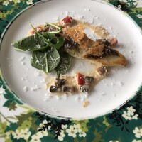 サンシャイン クルーズ・クルーズ - 