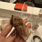 2nd EDITION TERUZUSHI - 