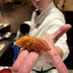 2nd EDITION TERUZUSHI - 